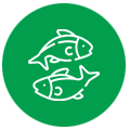 Fish-Icon